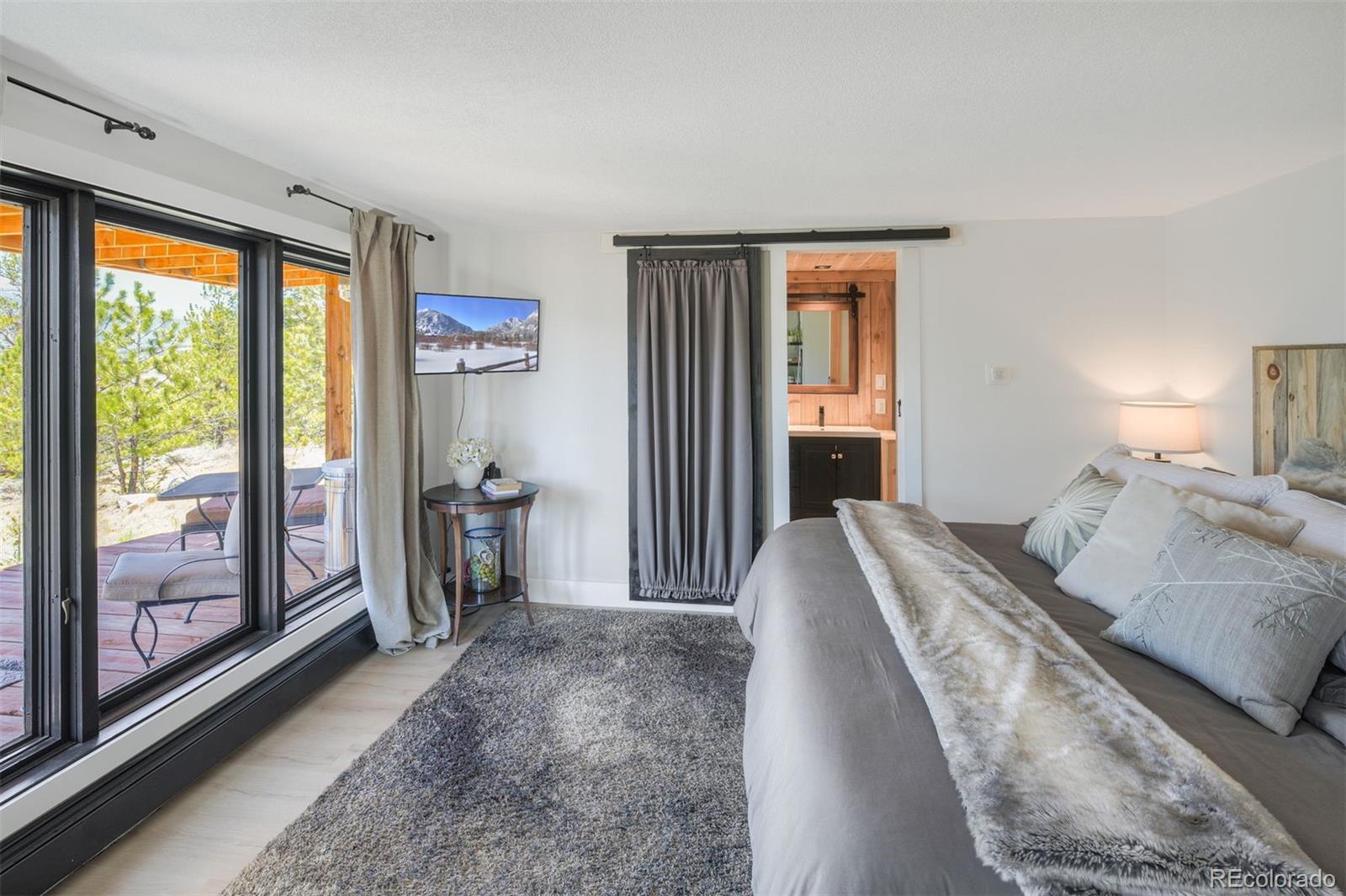 MLS Image #17 for 630  reva ridge road,twin lakes, Colorado