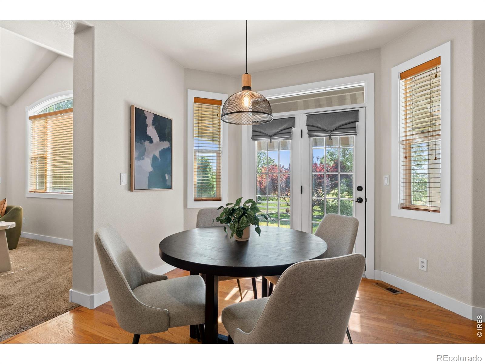 MLS Image #11 for 8417  castaway drive,windsor, Colorado