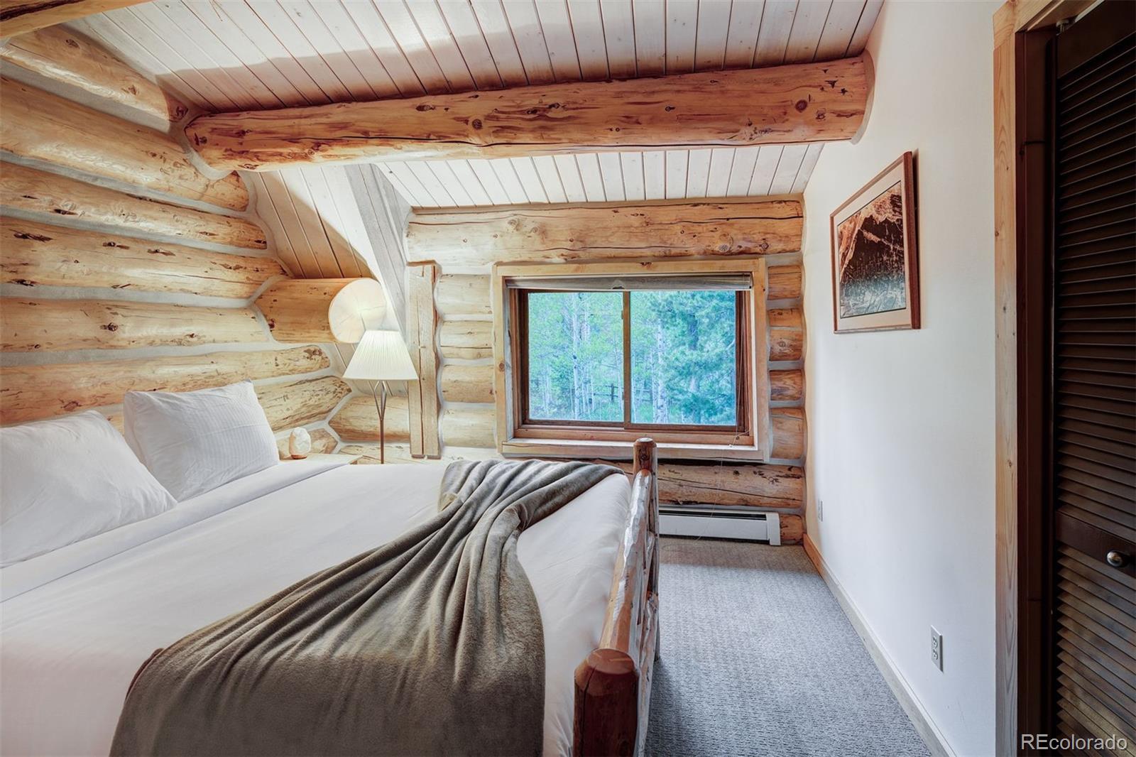 MLS Image #18 for 232 n side circle,silverthorne, Colorado