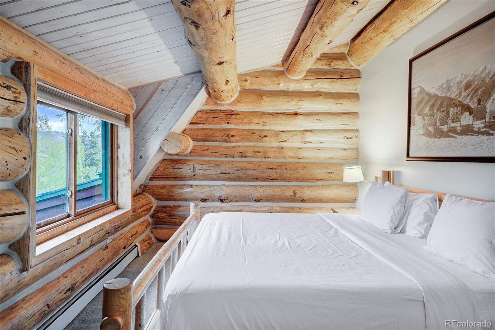 MLS Image #19 for 232 n side circle,silverthorne, Colorado