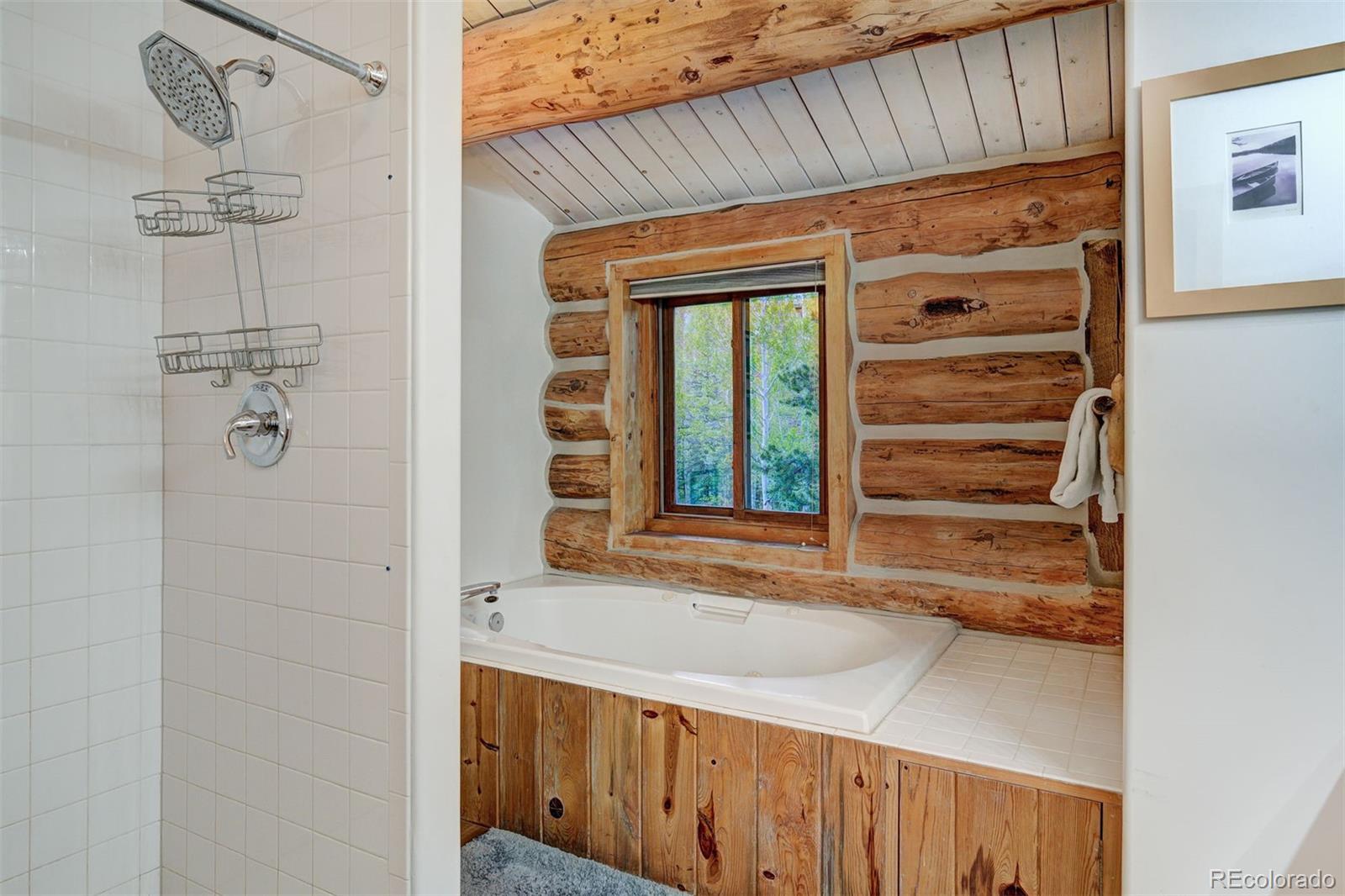 MLS Image #22 for 232 n side circle,silverthorne, Colorado