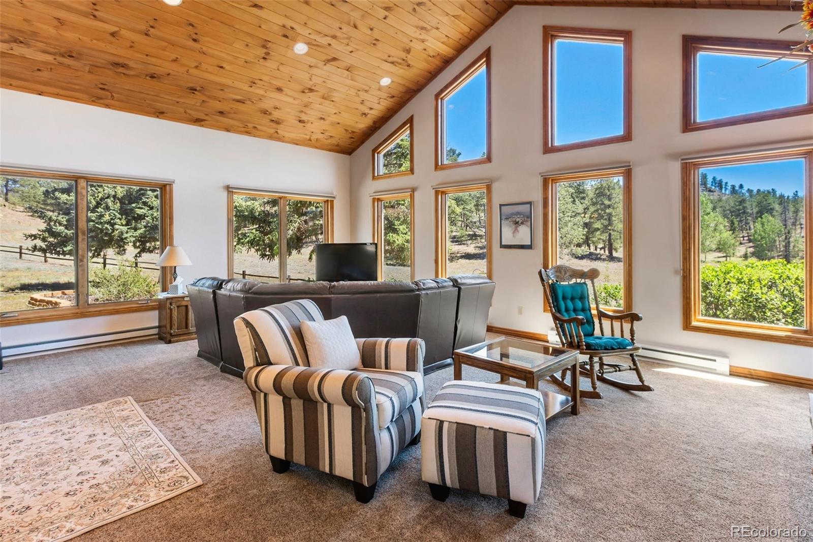 MLS Image #11 for 146  toms ranch road,lake george, Colorado