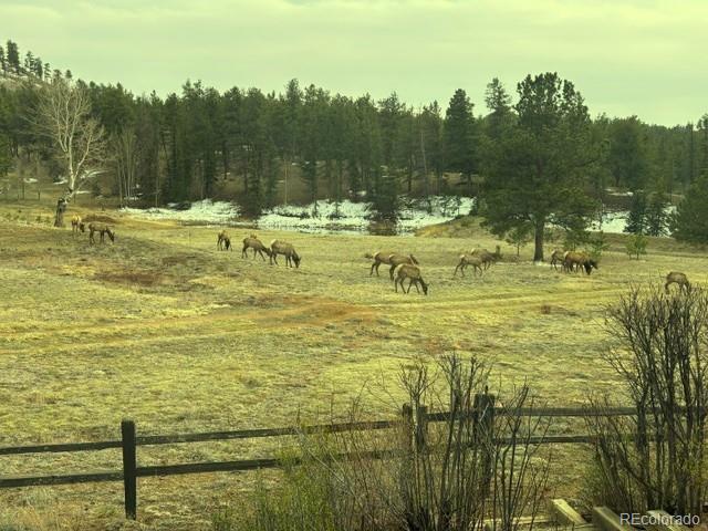 MLS Image #2 for 146  toms ranch road,lake george, Colorado