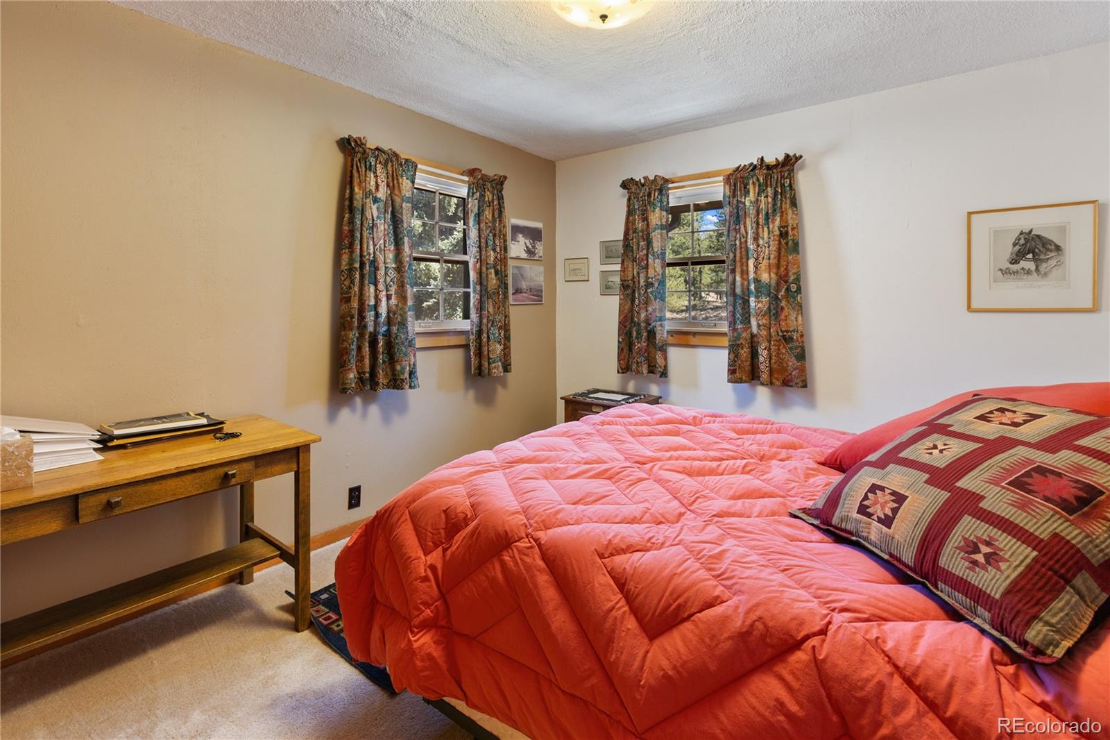 MLS Image #22 for 146  toms ranch road,lake george, Colorado