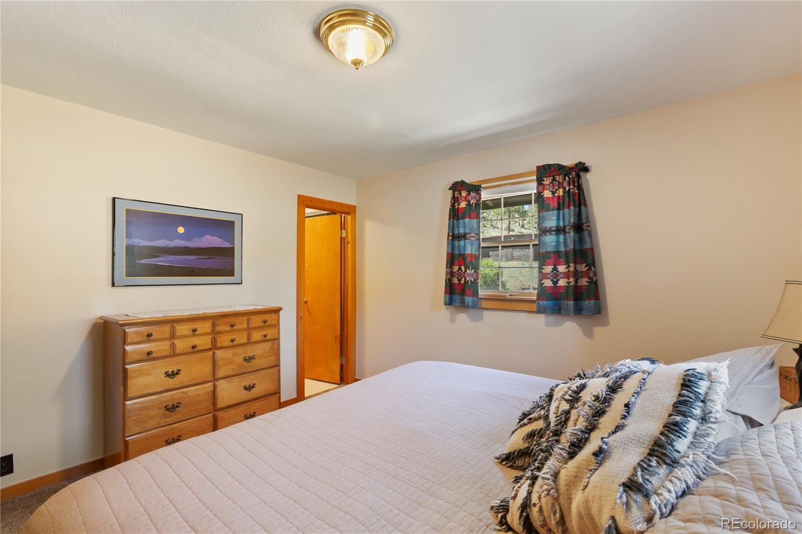 MLS Image #23 for 146  toms ranch road,lake george, Colorado