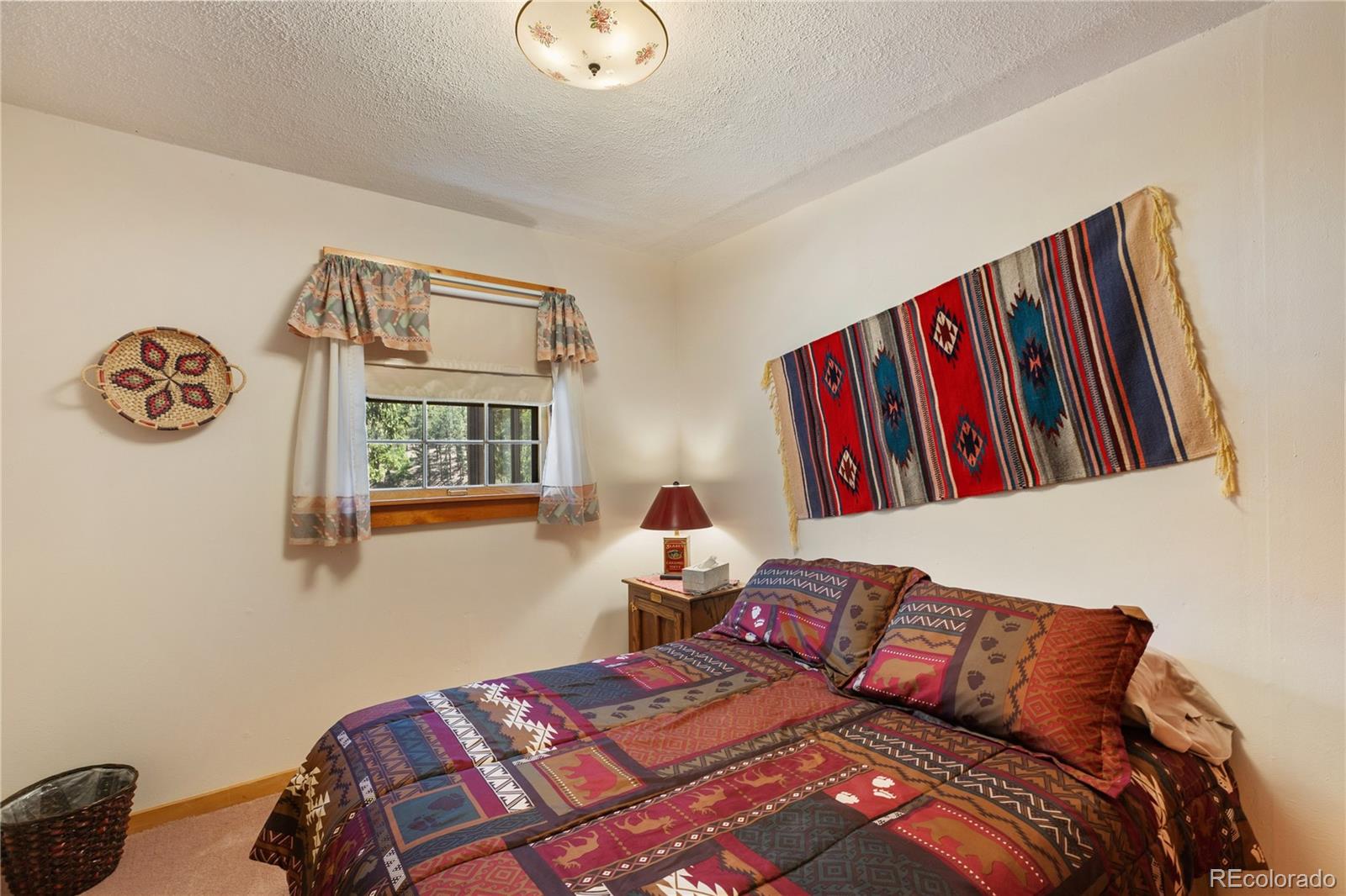 MLS Image #24 for 146  toms ranch road,lake george, Colorado