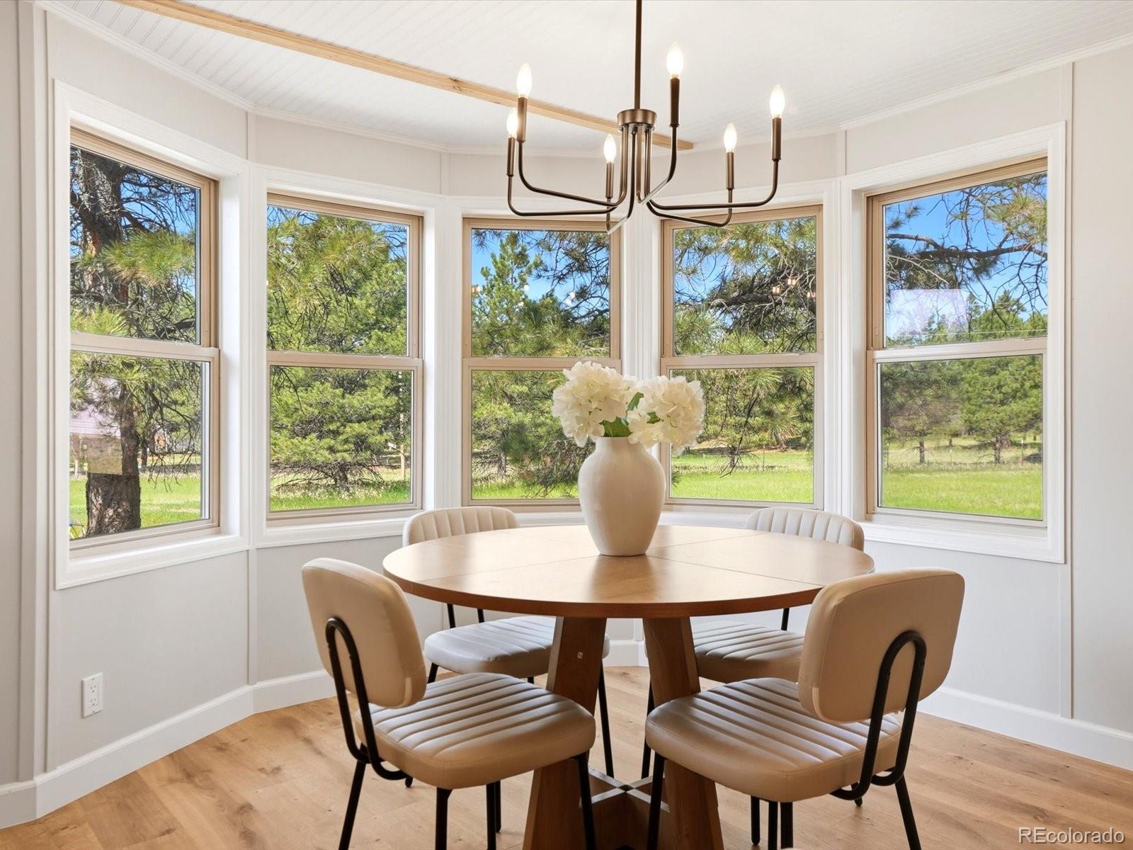 MLS Image #12 for 482  panorama drive,elizabeth, Colorado