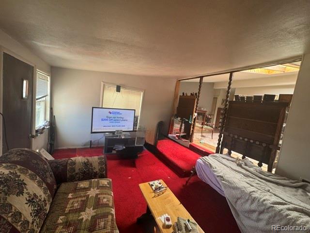 MLS Image #9 for 2540  valley view drive,denver, Colorado