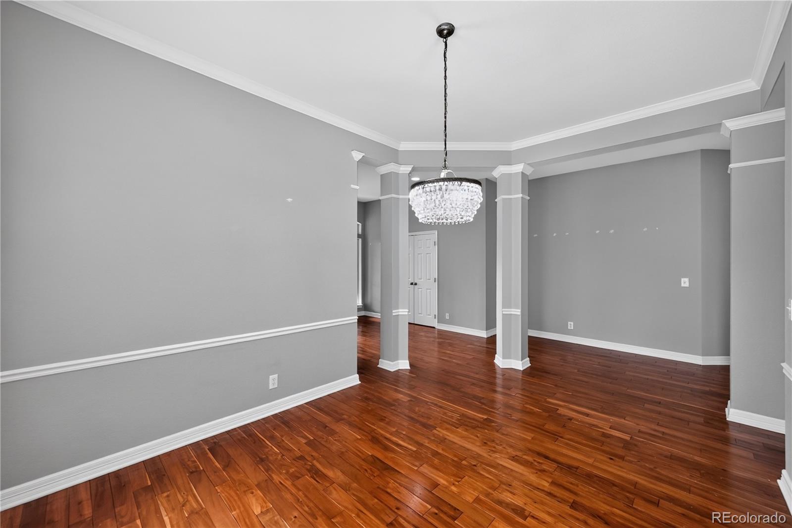 MLS Image #20 for 1607  wild blossom way,castle rock, Colorado