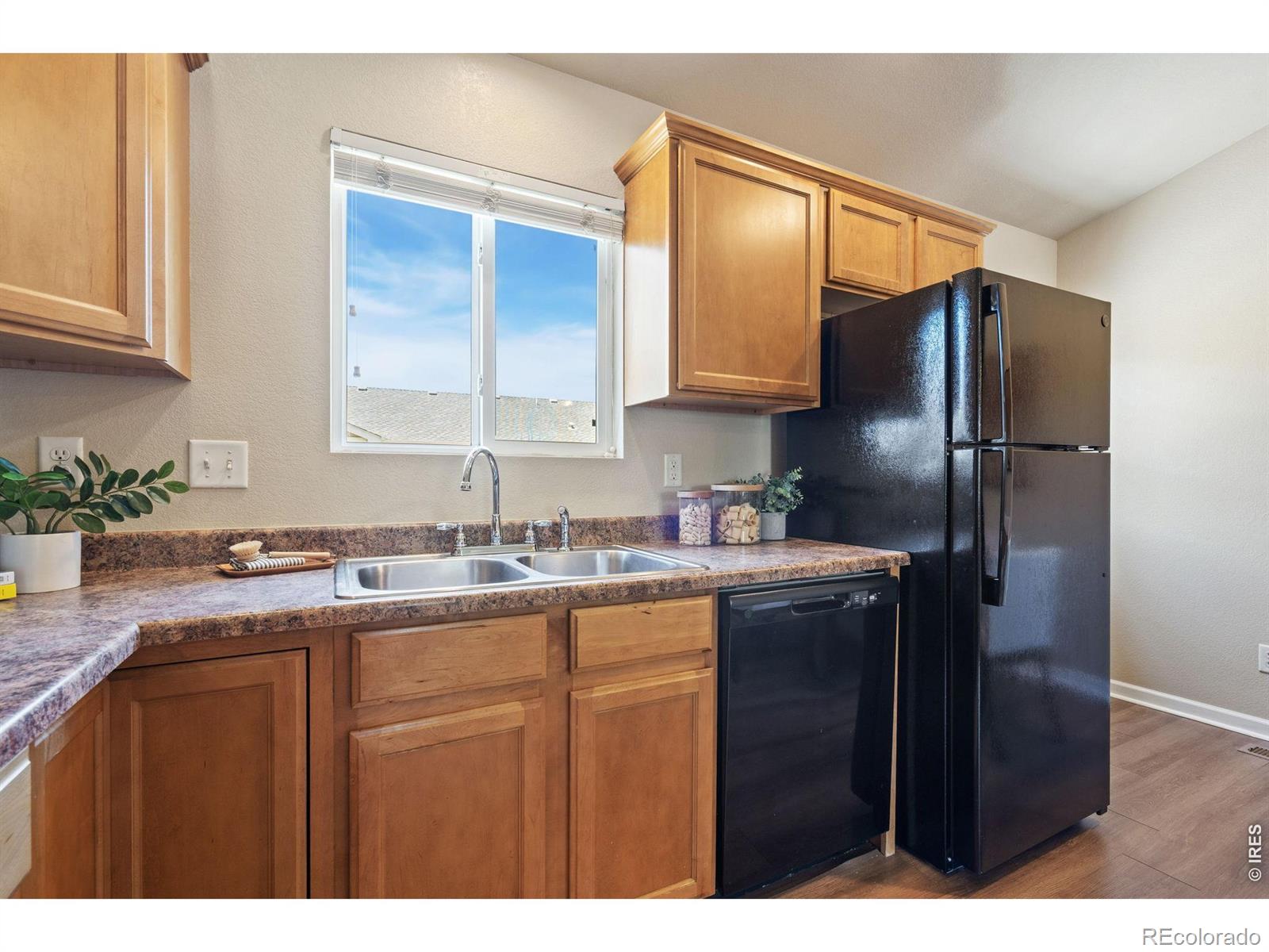 MLS Image #10 for 969  delphinus place,loveland, Colorado