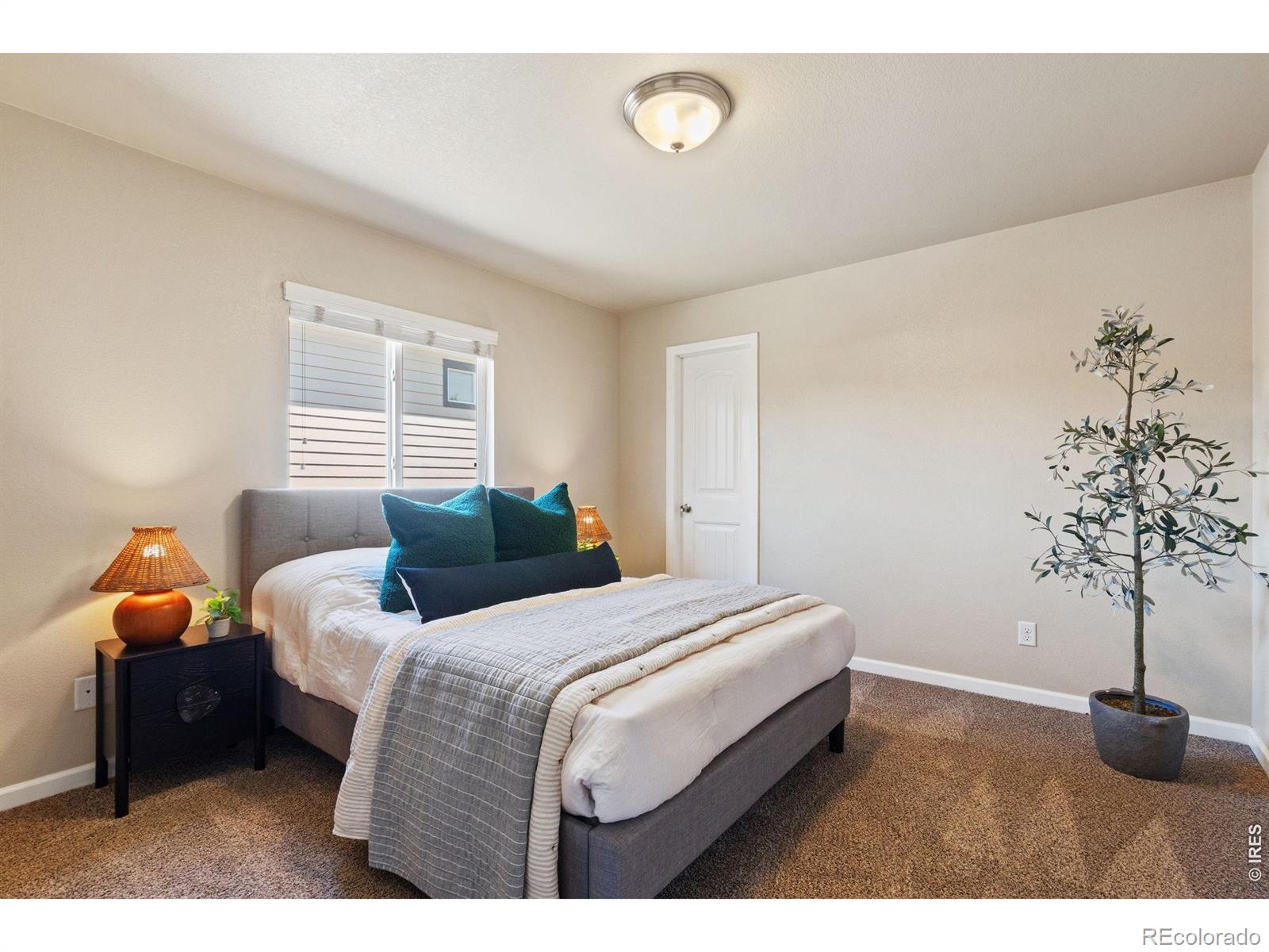 MLS Image #13 for 969  delphinus place,loveland, Colorado
