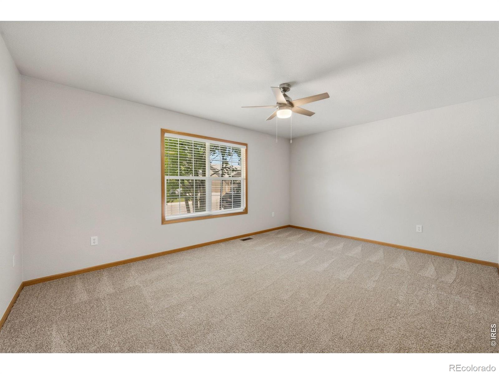 MLS Image #10 for 356  cardinal avenue,loveland, Colorado