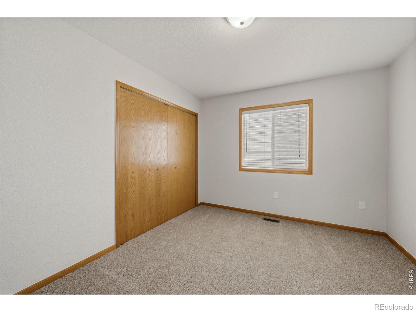 MLS Image #12 for 356  cardinal avenue,loveland, Colorado