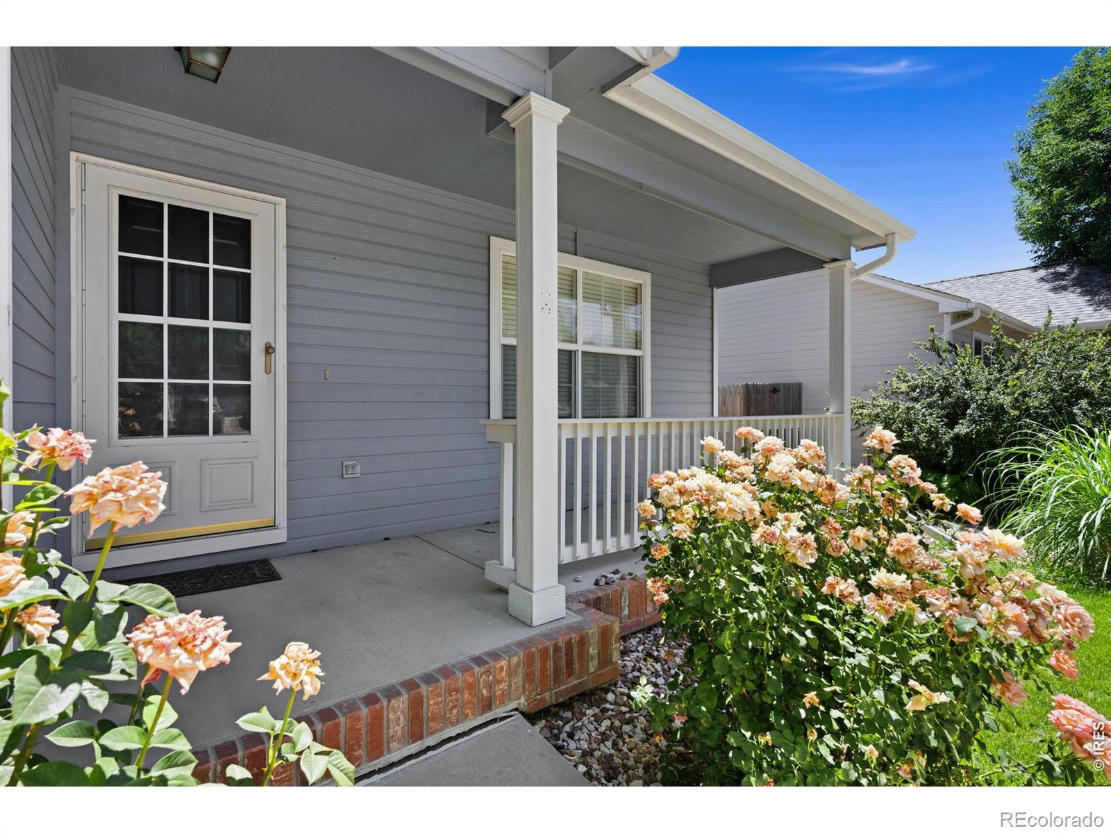 MLS Image #2 for 356  cardinal avenue,loveland, Colorado