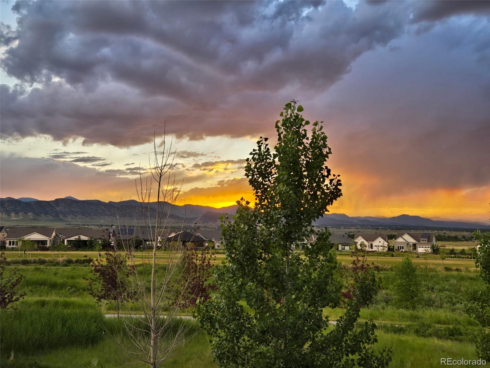MLS Image #44 for 9195  star streak circle,littleton, Colorado