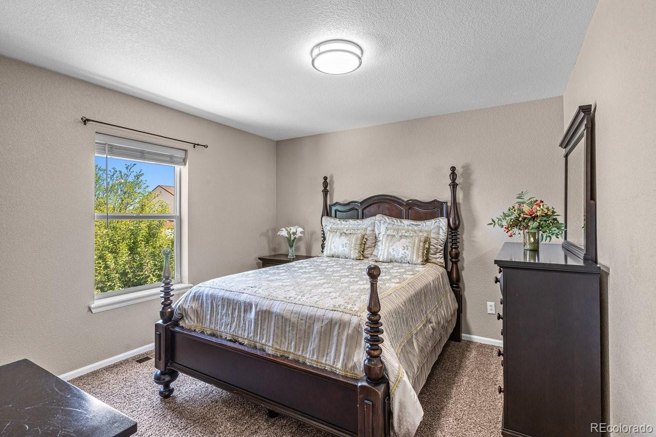 MLS Image #17 for 8020  firecracker trail,colorado springs, Colorado