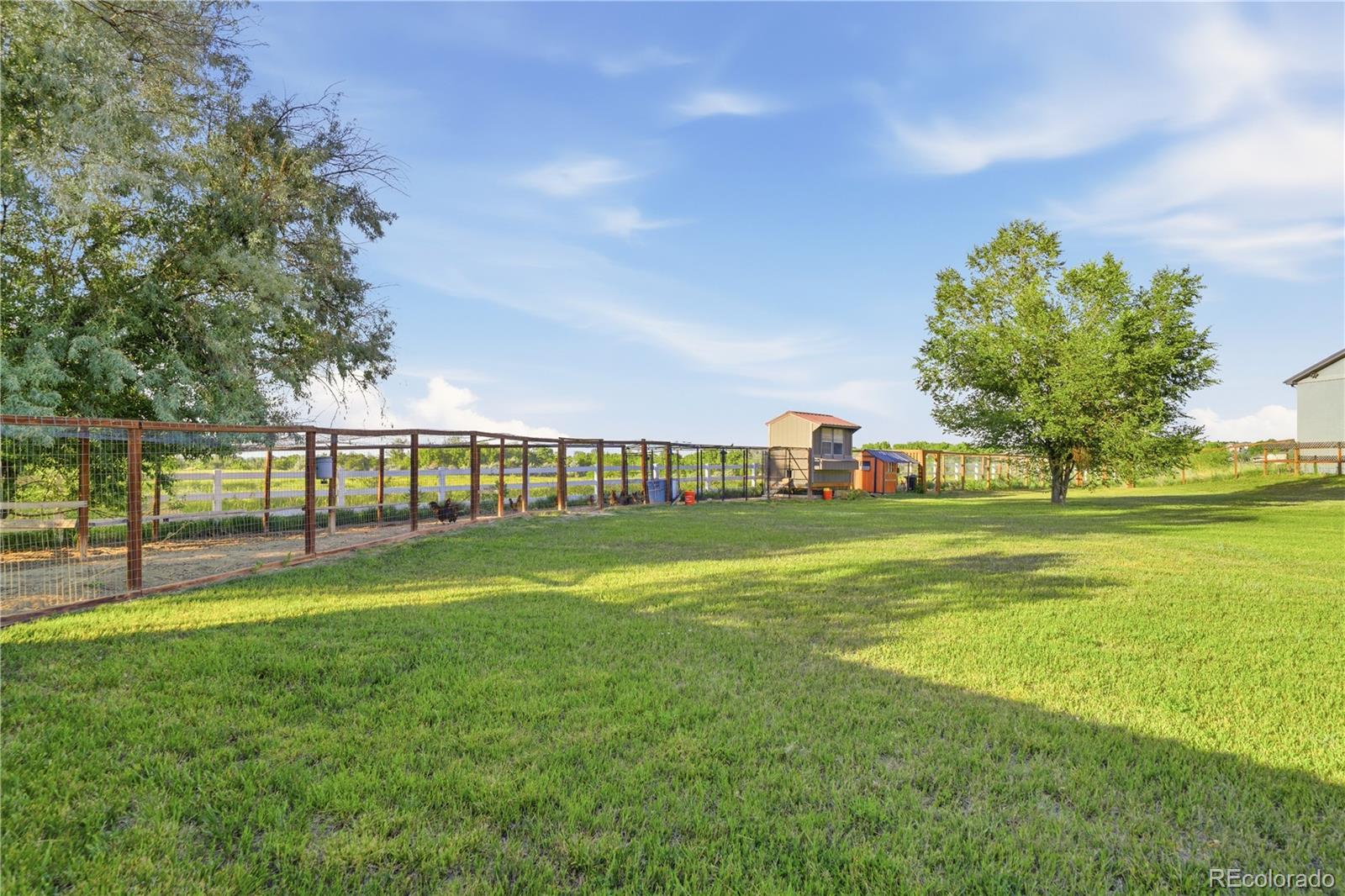 MLS Image #42 for 2651  lawrence court,lafayette, Colorado