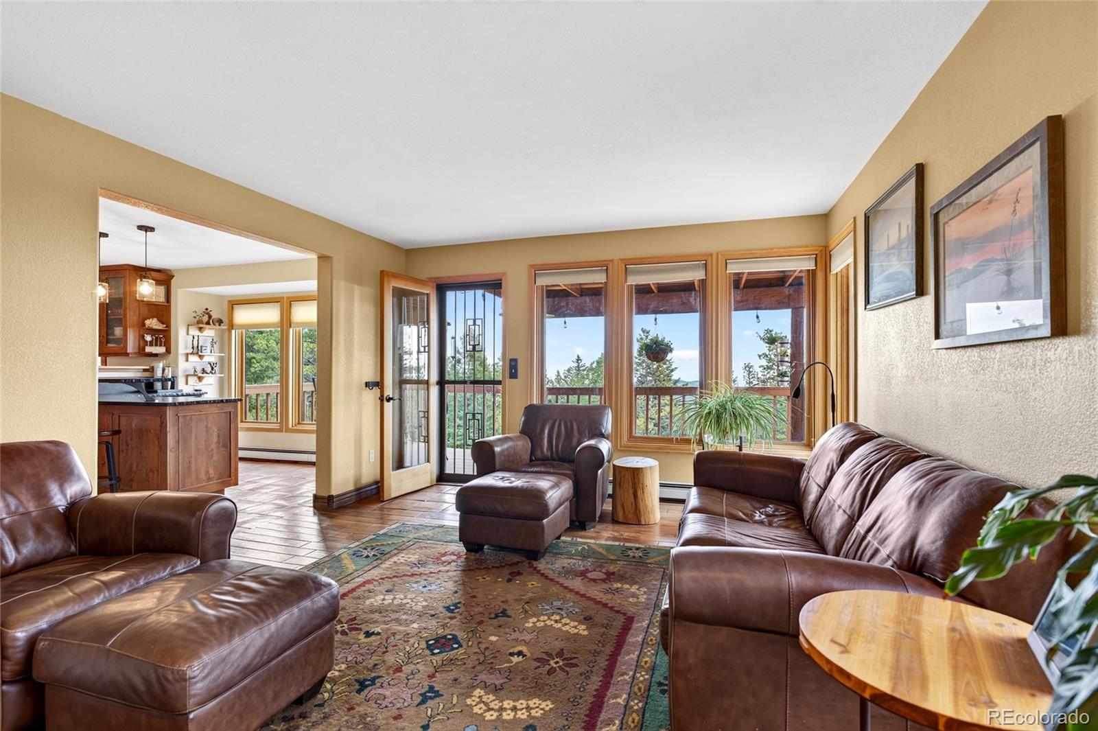 MLS Image #10 for 31547  conifer mountain drive,conifer, Colorado