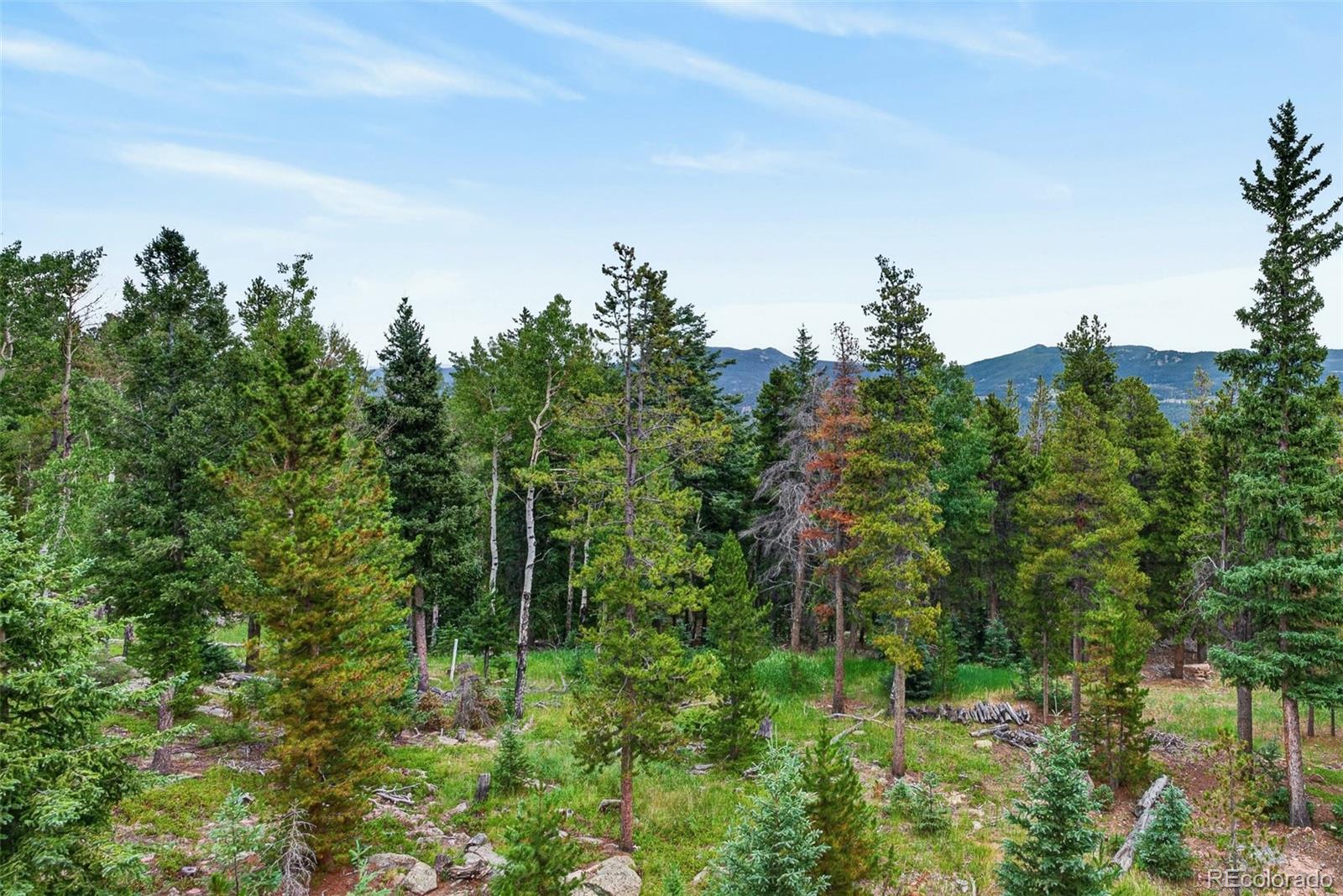 MLS Image #21 for 31547  conifer mountain drive,conifer, Colorado