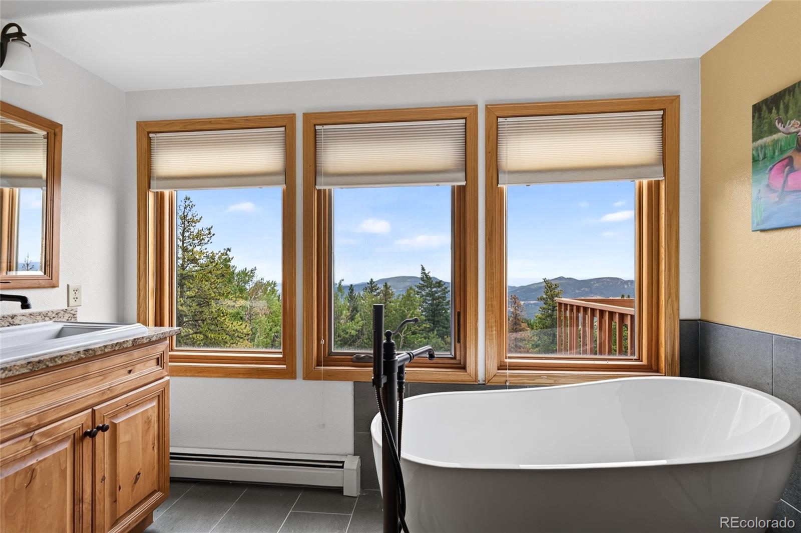 MLS Image #27 for 31547  conifer mountain drive,conifer, Colorado