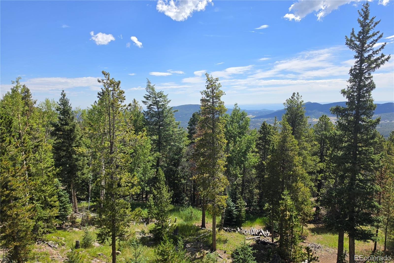 MLS Image #3 for 31547  conifer mountain drive,conifer, Colorado