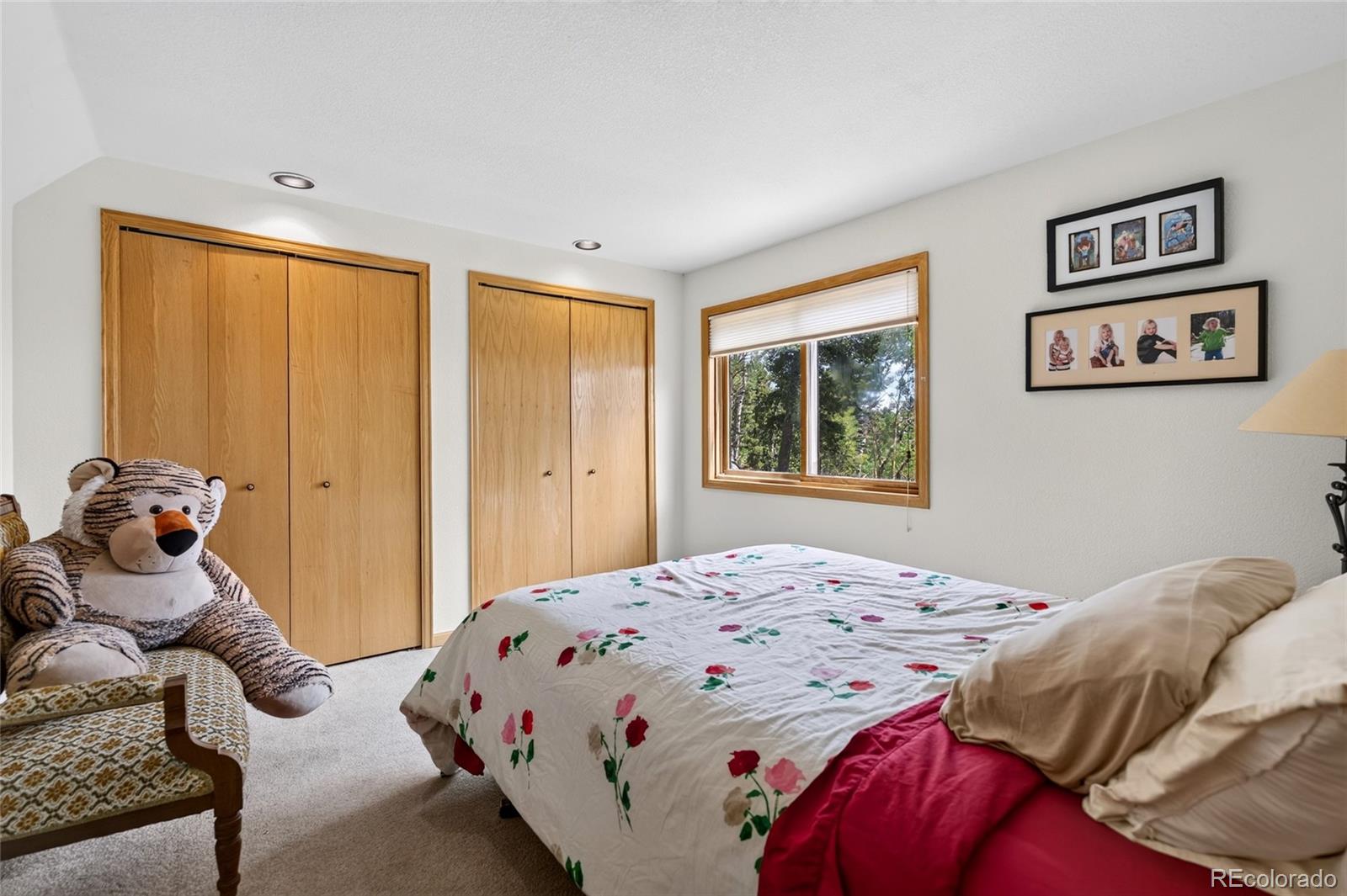 MLS Image #36 for 31547  conifer mountain drive,conifer, Colorado
