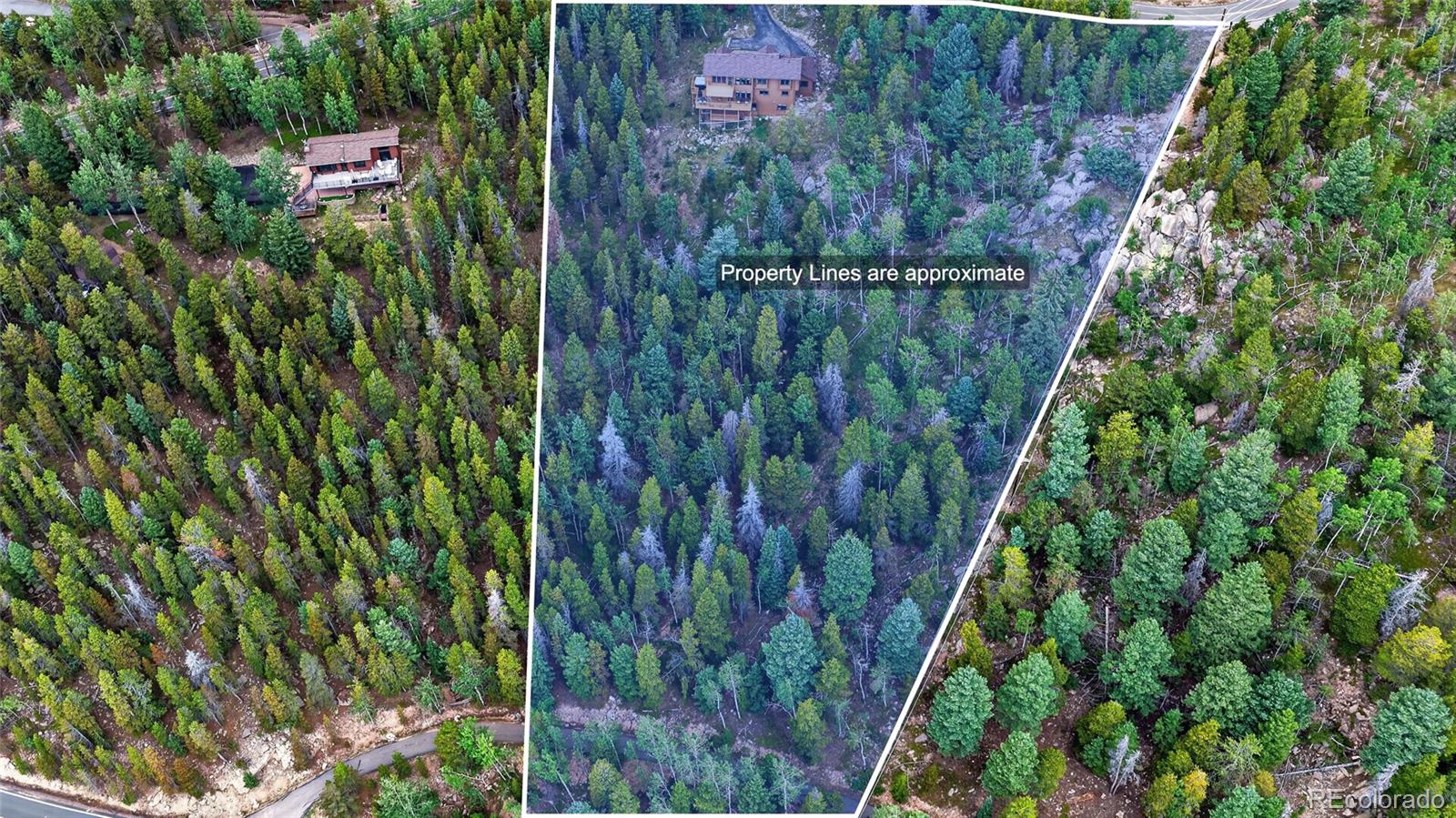 MLS Image #45 for 31547  conifer mountain drive,conifer, Colorado