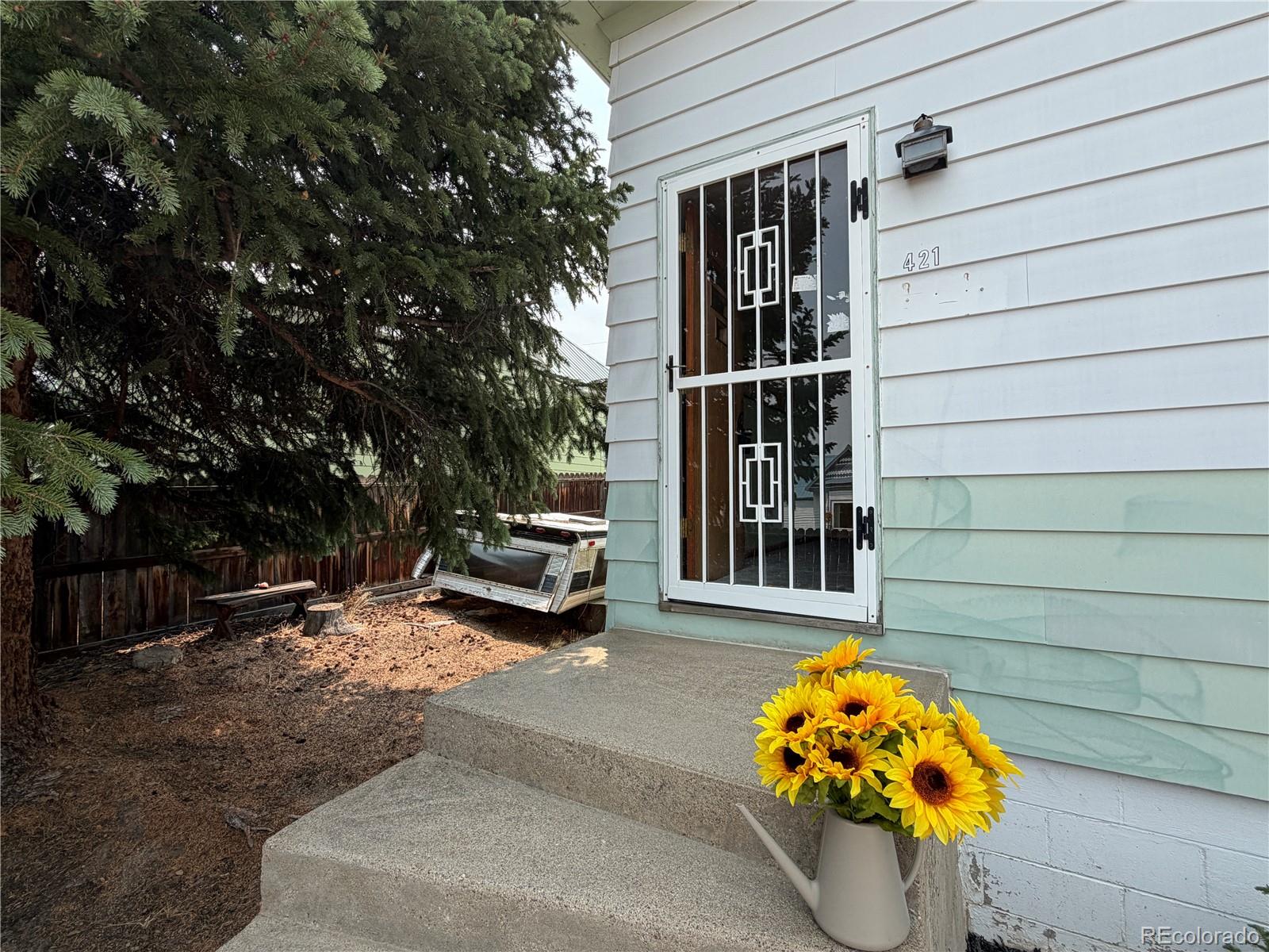 MLS Image #1 for 421 w 8th street,leadville, Colorado