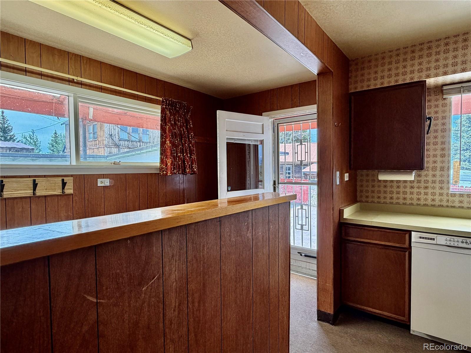MLS Image #13 for 421 w 8th street,leadville, Colorado