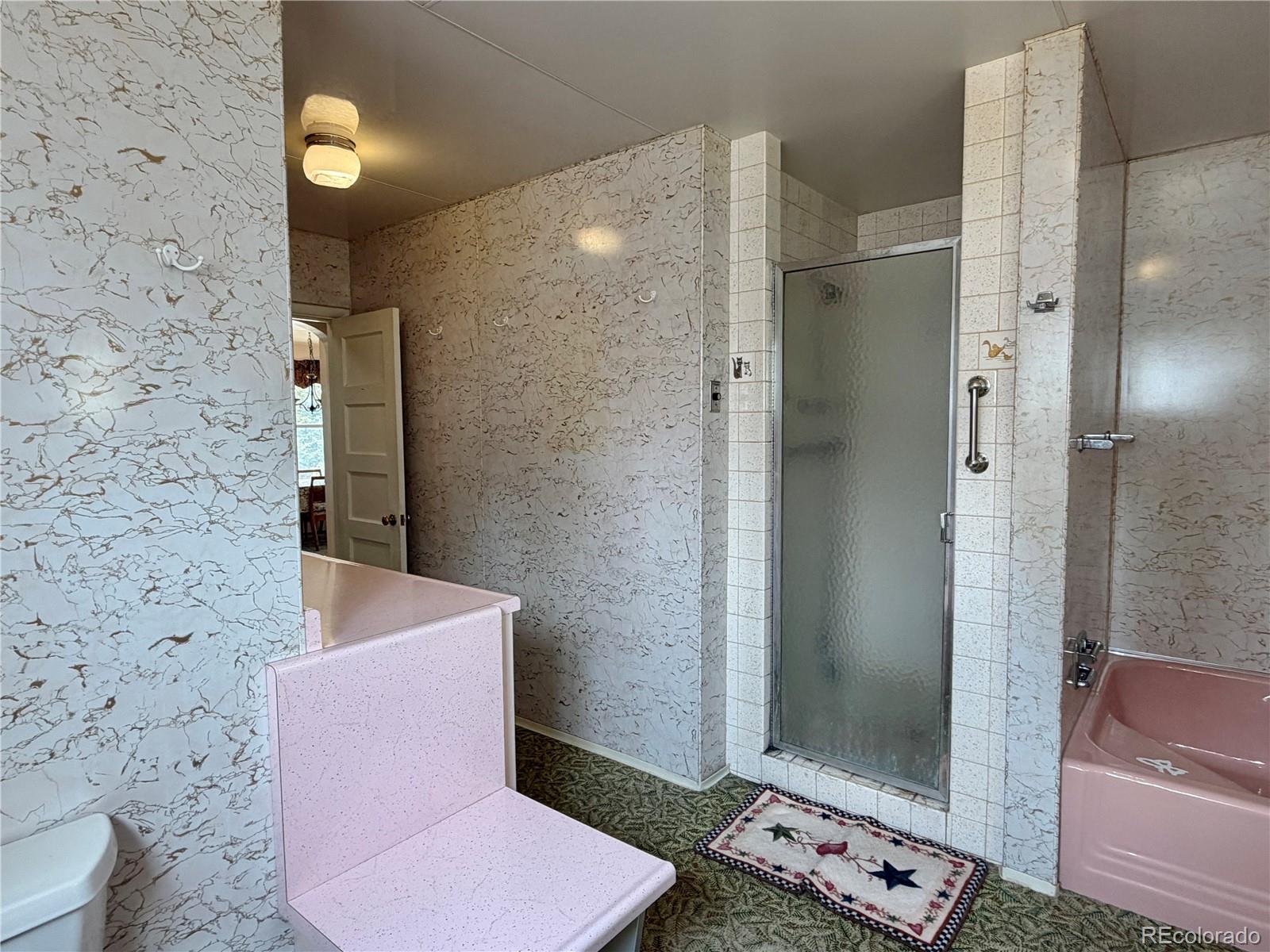 MLS Image #19 for 421 w 8th street,leadville, Colorado