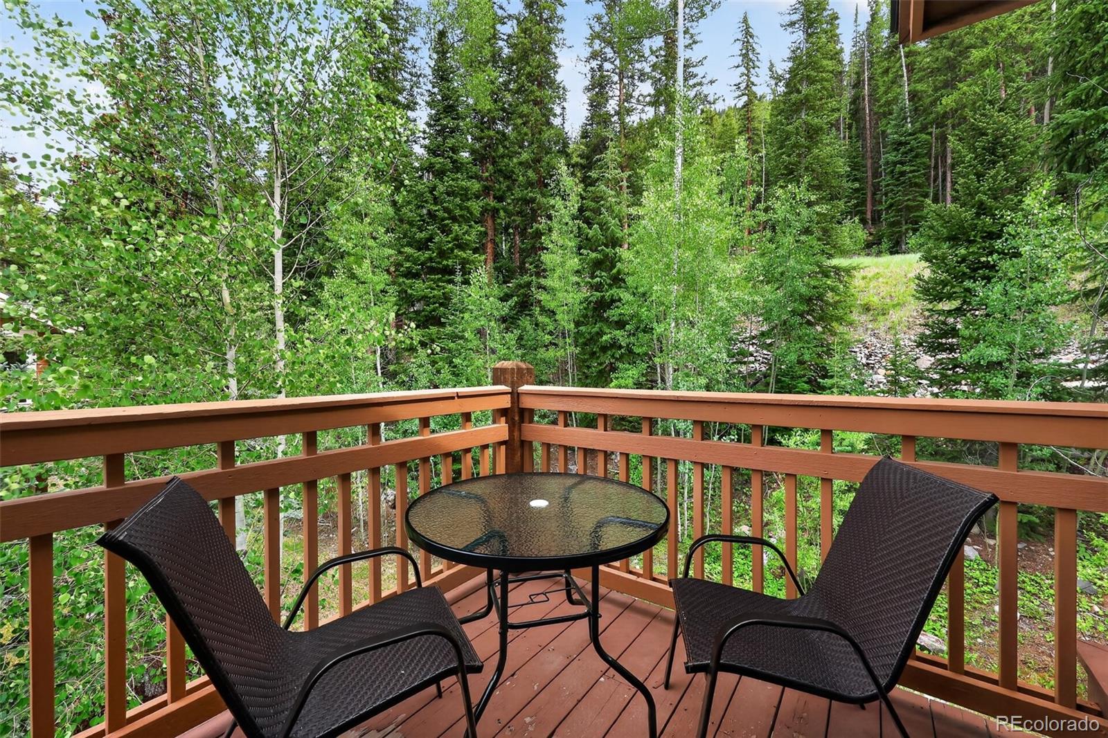 MLS Image #19 for 89  tip top trail,dillon, Colorado
