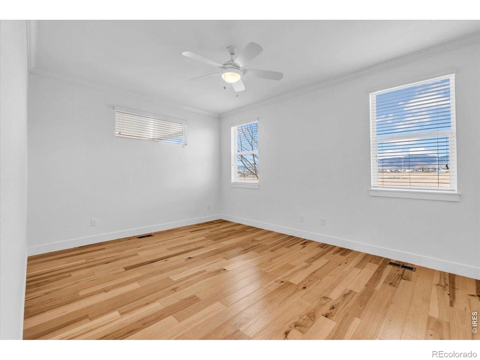 MLS Image #13 for 799  robert street,longmont, Colorado