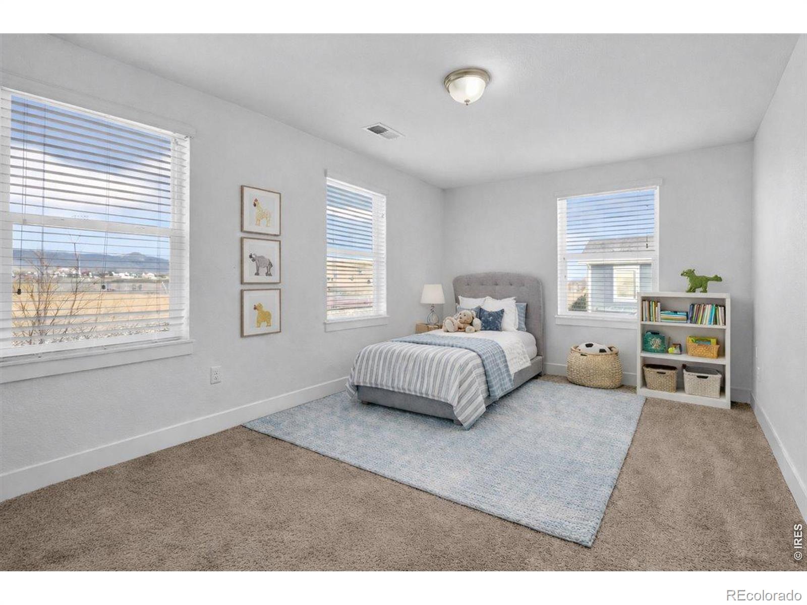 MLS Image #34 for 799  robert street,longmont, Colorado