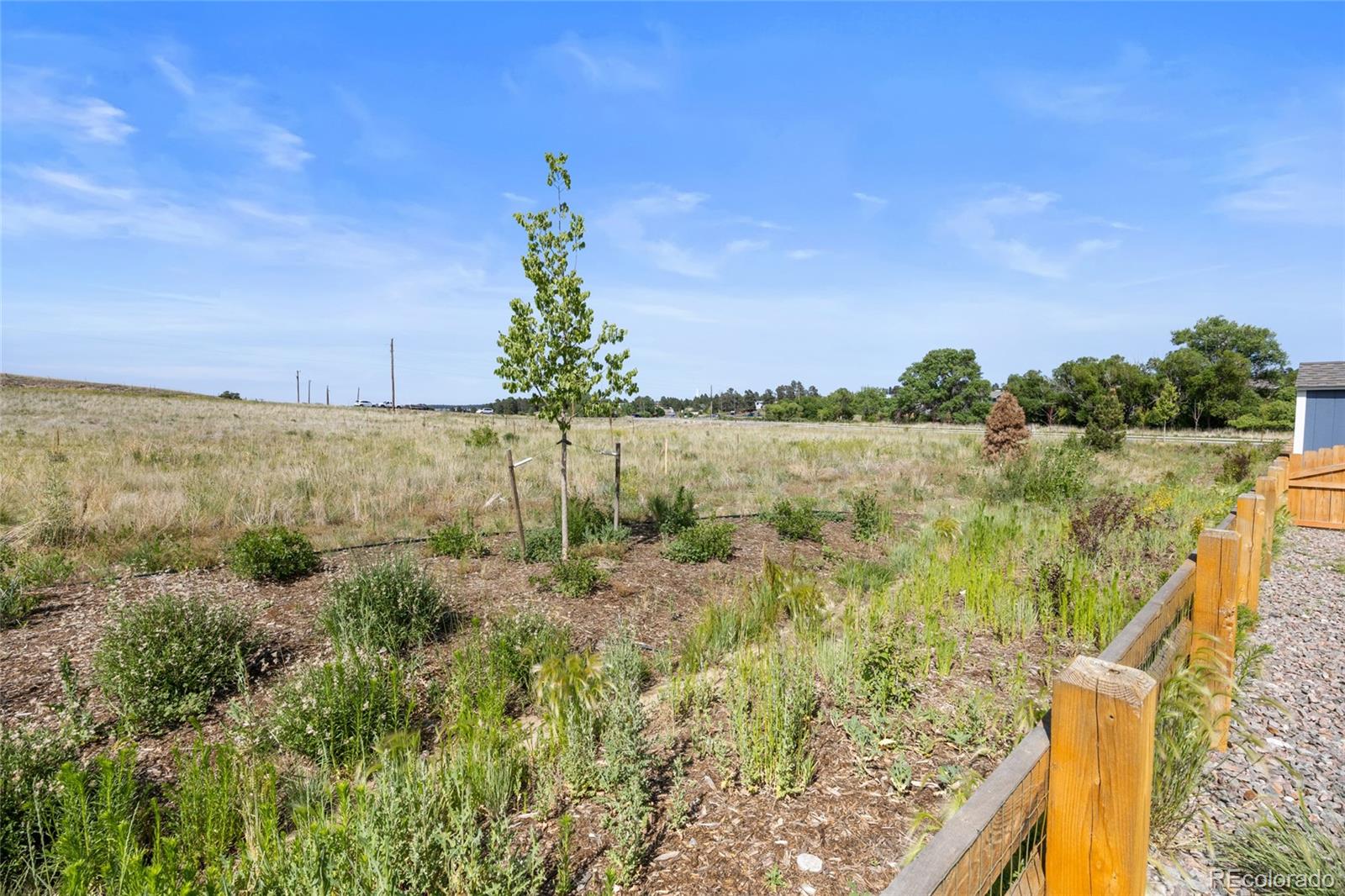 MLS Image #27 for 223  corkscrew street,elizabeth, Colorado