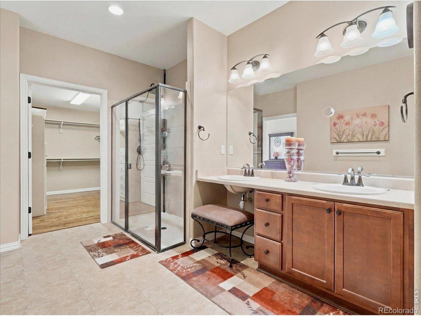 MLS Image #11 for 5843  calgary street,timnath, Colorado