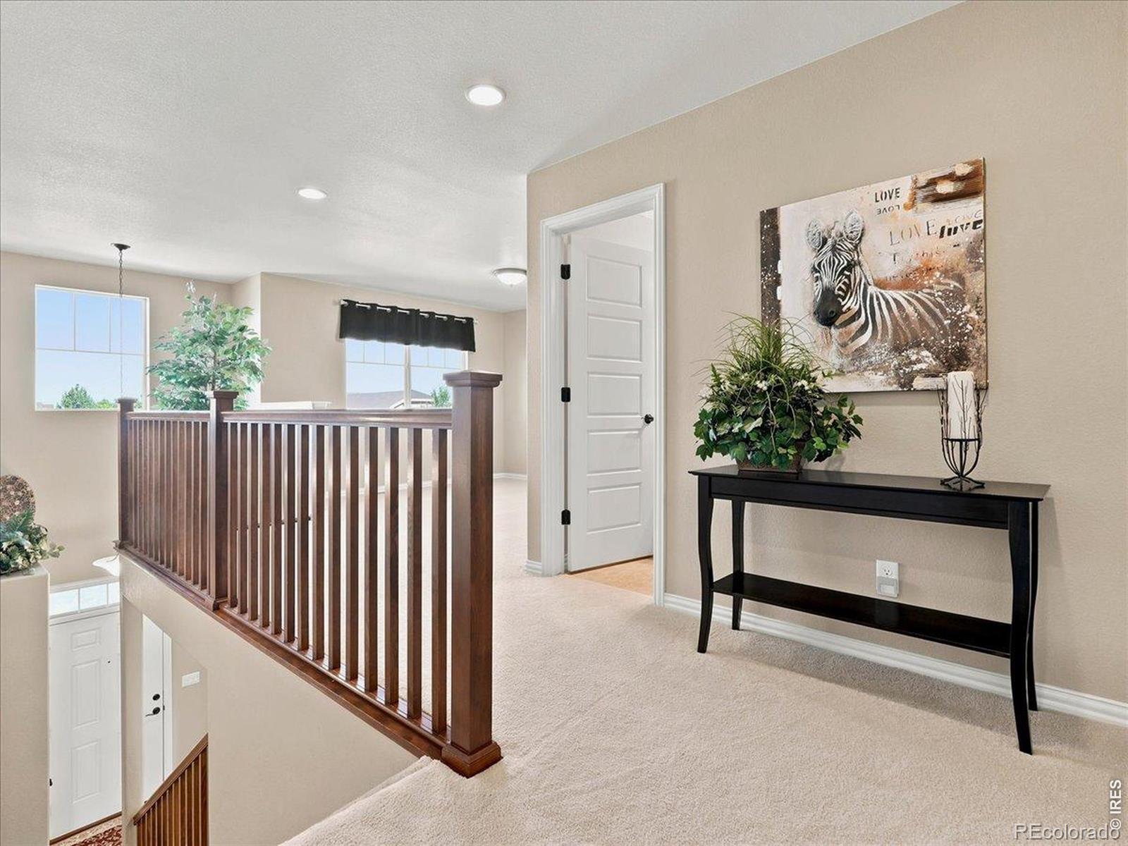 MLS Image #15 for 5843  calgary street,timnath, Colorado