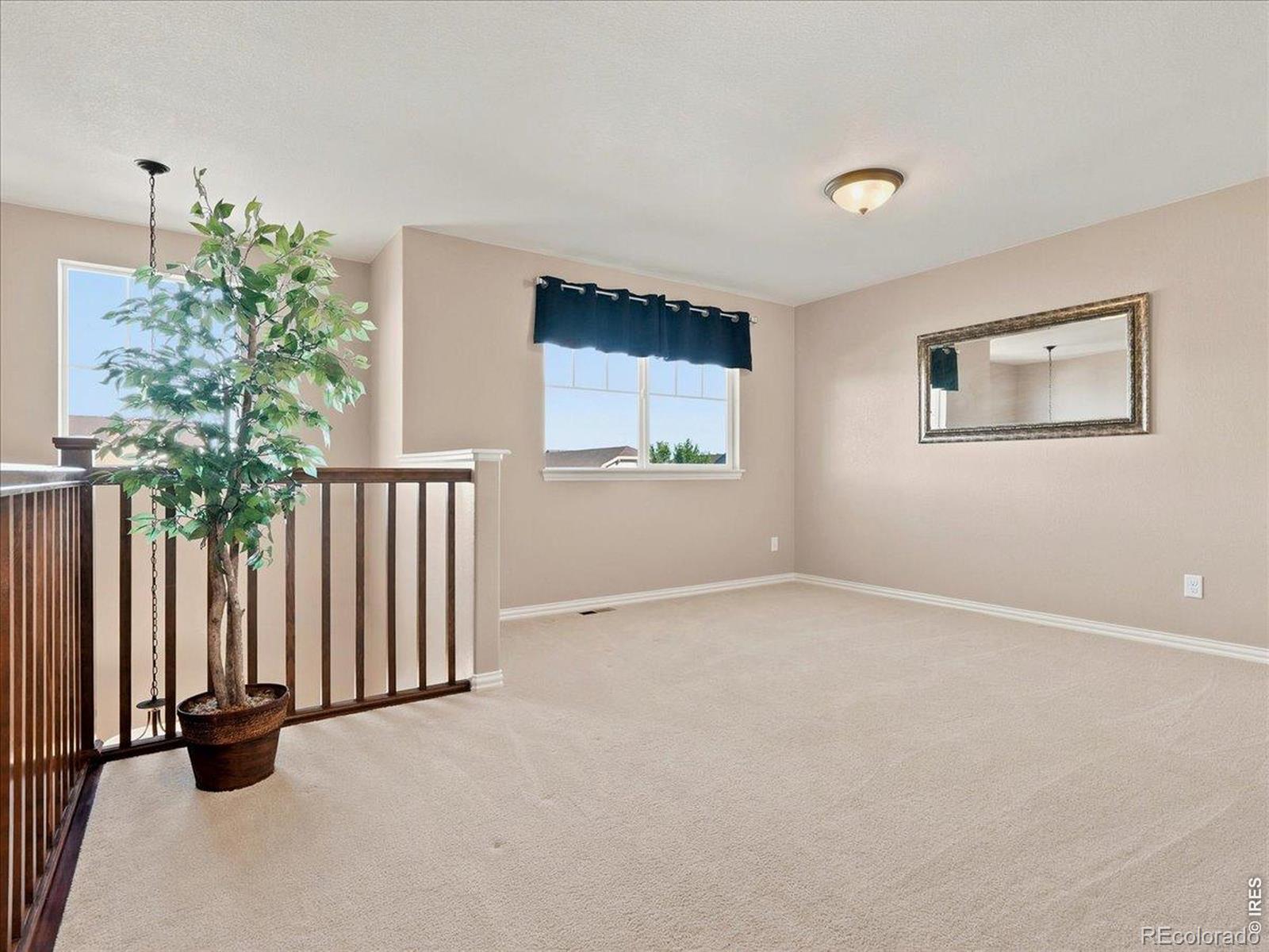 MLS Image #16 for 5843  calgary street,timnath, Colorado