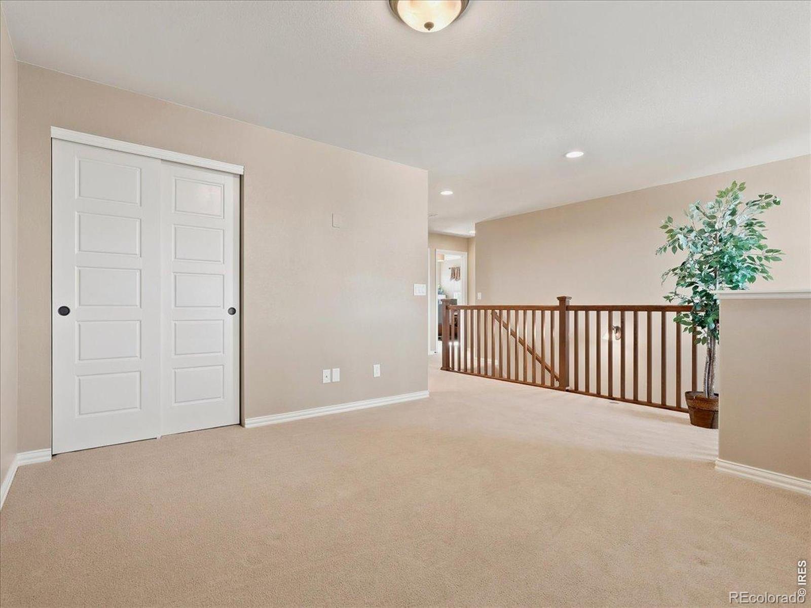 MLS Image #17 for 5843  calgary street,timnath, Colorado