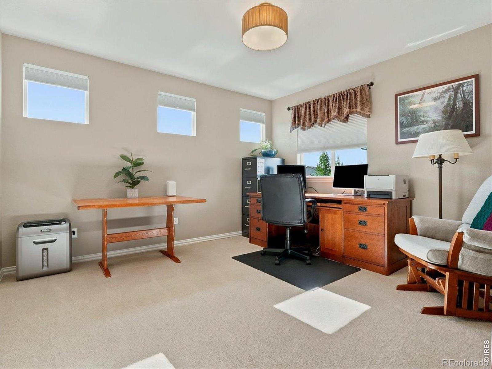 MLS Image #22 for 5843  calgary street,timnath, Colorado