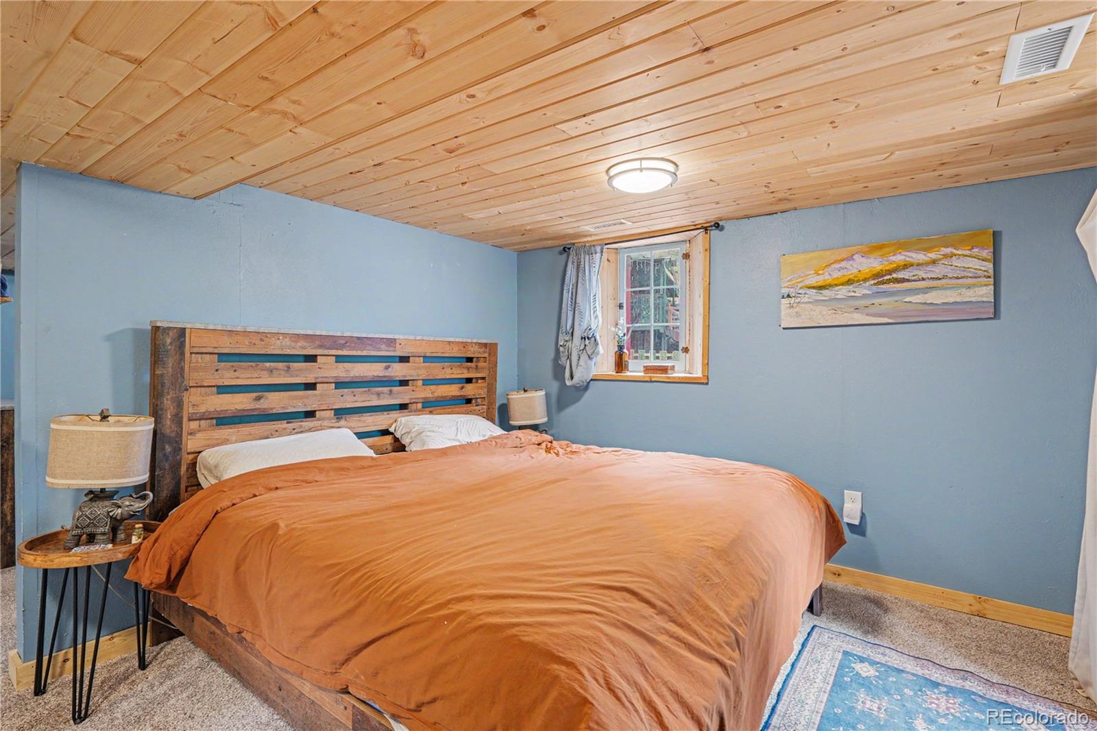 MLS Image #14 for 15916 s elk creek road,pine, Colorado