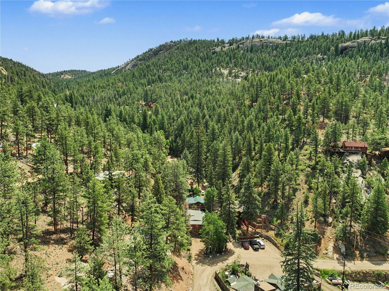 MLS Image #23 for 15916 s elk creek road,pine, Colorado