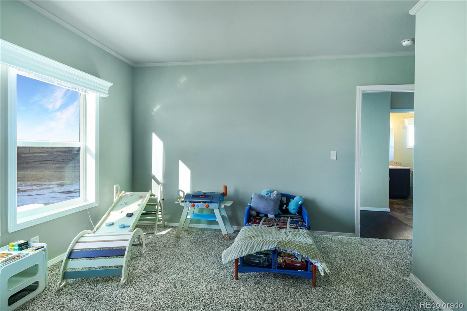 MLS Image #22 for 11055  milne road,colorado springs, Colorado