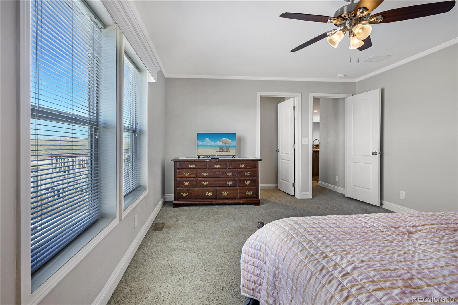 MLS Image #39 for 11055  milne road,colorado springs, Colorado