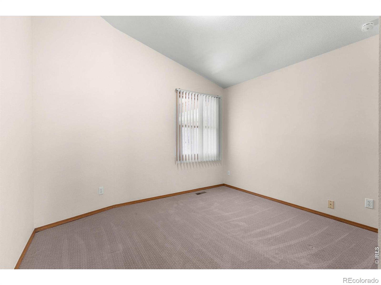 MLS Image #13 for 809  zweck court,longmont, Colorado