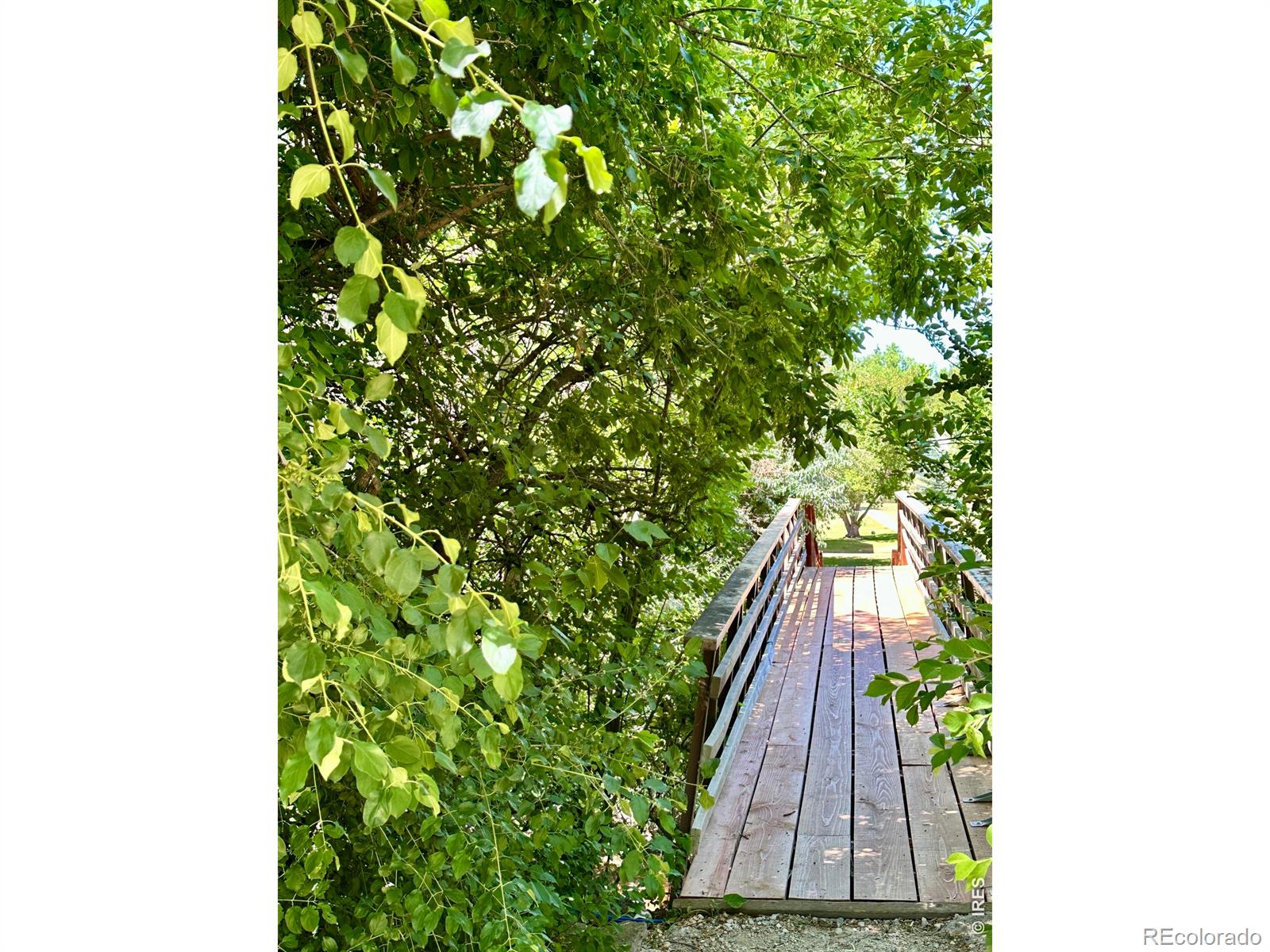 MLS Image #11 for 1705  heatheridge road,fort collins, Colorado
