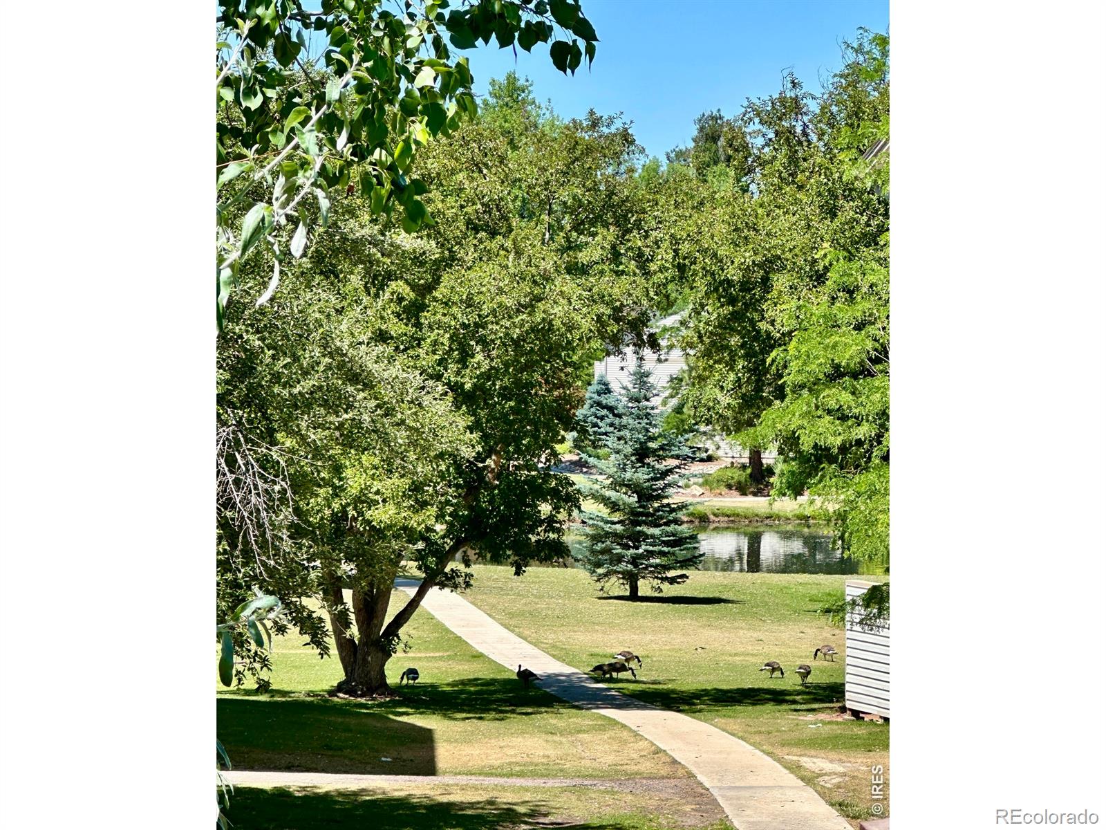 MLS Image #12 for 1705  heatheridge road,fort collins, Colorado