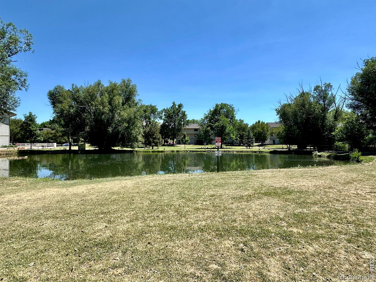 MLS Image #13 for 1705  heatheridge road,fort collins, Colorado