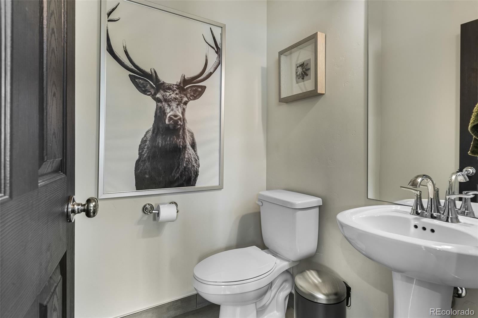 MLS Image #17 for 159  moose trail,silverthorne, Colorado
