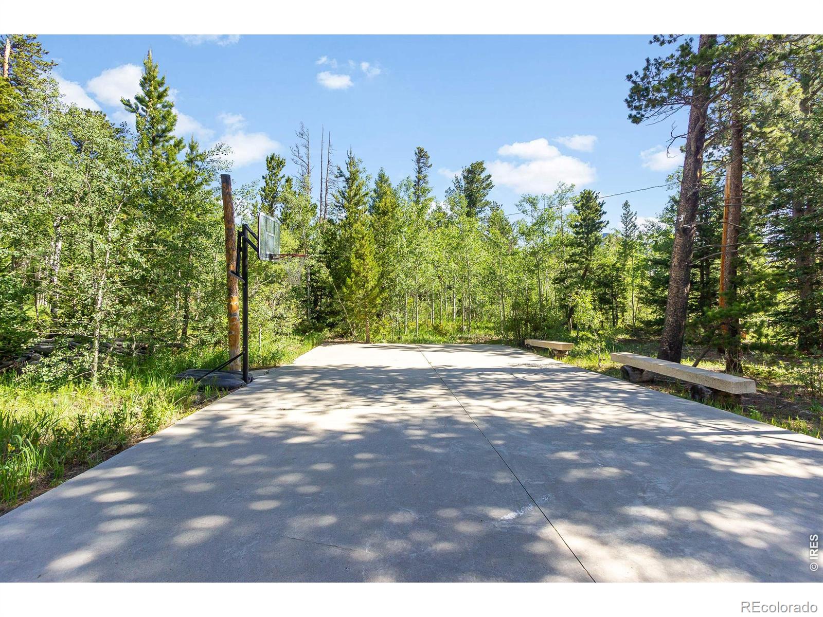 MLS Image #24 for 11614  peak to peak highway,allenspark, Colorado