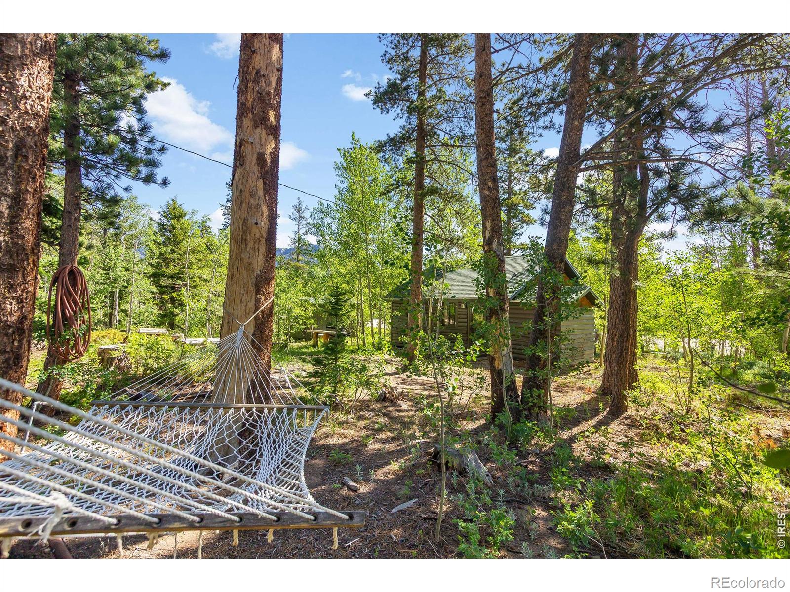 MLS Image #26 for 11614  peak to peak highway,allenspark, Colorado